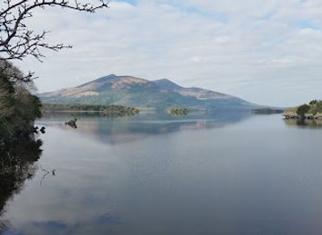 ireland/county-kerry/attraction/muckross-abbey
