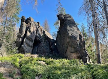 germany/harz-national-park/attraction/froschfelsen-hwn-5