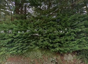 ireland/wicklow-mountains/attraction/lackan