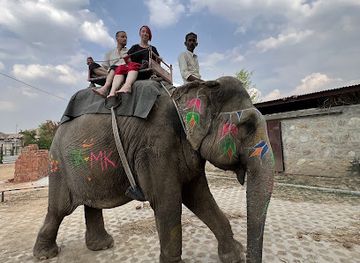 india/jaipur/attraction/jaipur-elephant-park