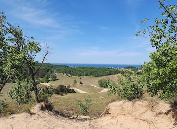 Saugatuck Dune Rides