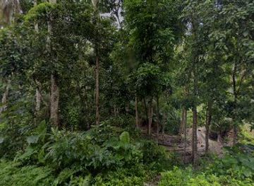 philippines/siquijor/attraction/aim-high-jump-high