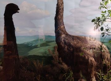 new-zealand/dunedin/attraction/otago-museum