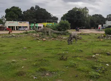 Malawisaurus at Roundabout