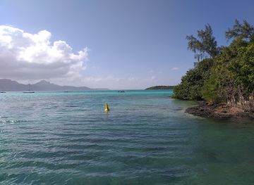 mauritius/blue-bay/attraction/point-d-esny-wetlands
