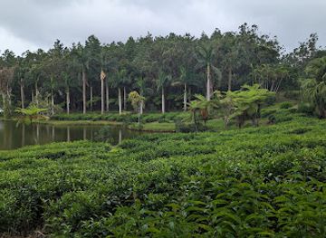 mauritius/savanne/attraction/grand-bassin-temple