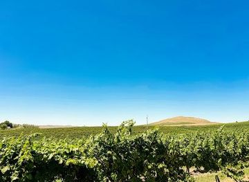 washington/kennewick/attraction/badger-mountain-organic-winery