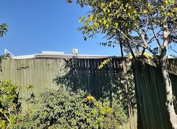 australia/gold-coast/attraction/pelican-feeding