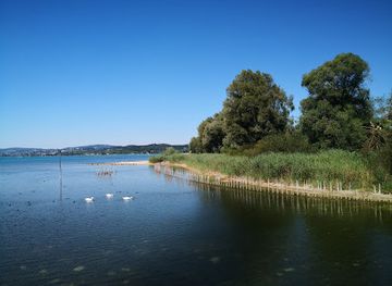 germany/lake-constance/attraction/pile-dwelling-museum
