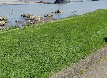 Mataatua: The House That Came Home