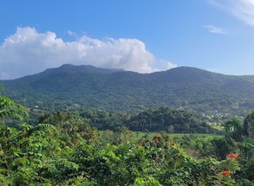 puerto-rico/luquillo/attraction/atv-riding-and-fun