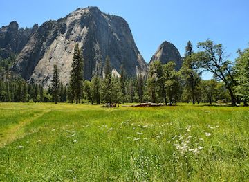 california/yosemite-national-park/attraction/el-capitan-meadow