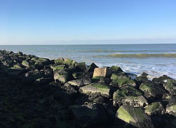 netherlands/dutch-coast/attraction/atlantikwall-museum