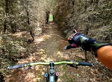 ohio/wooster/attraction/vulture-s-knob-mountain-bike-park