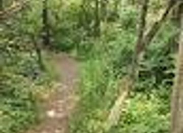 ohio/sandusky/attraction/scheele-preserve