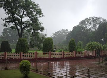 india/eastern-india/attraction/petrified-wood