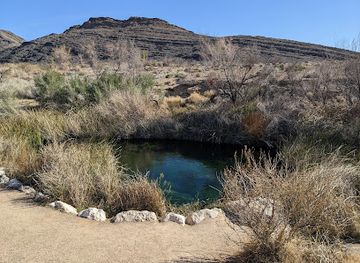 nevada/ash-meadows-national-wildlife-refuge/attraction/ash-meadows-board-walk