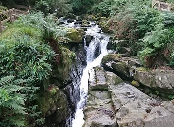 isle-of-man/laxey/attraction/ballaglass-glen