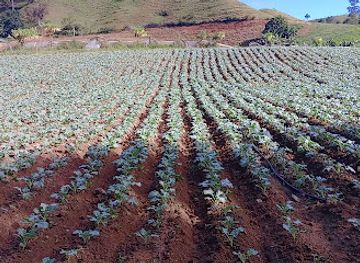 dominican-republic/constanza/attraction/don-miguel-constanza