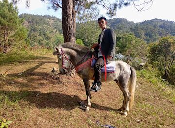 philippines/mt-pulag/attraction/abong-ni-tombilao