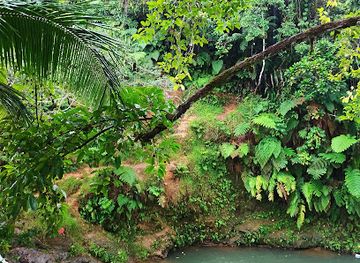 fiji/beqa-island/attraction/wainadoi-water-fall