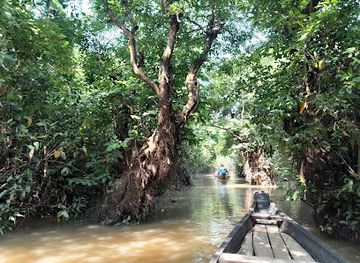 bangladesh/ratargul-swamp-forest/attraction/ratargul