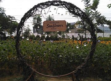 indonesia/bandung/attraction/sunflower-festival-pvj-bandung