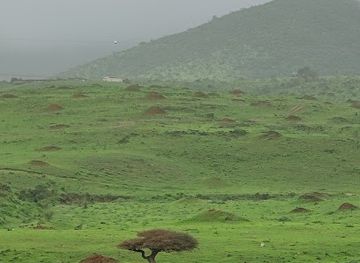 oman/salalah/attraction/jalset-khryf-awqd