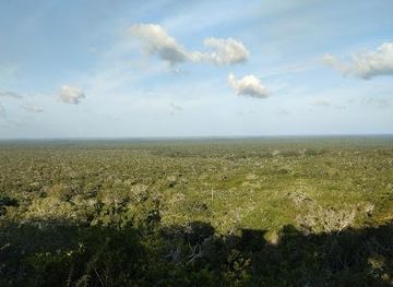 kenya/malindi/attraction/arabuko-sokoke-forest-kfs-gede-gate-main-gate