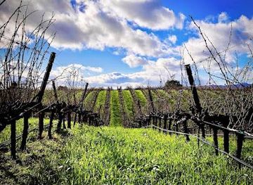 california/martinez/attraction/porter-family-vineyards