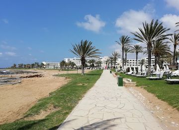cyprus/paphos-district/attraction/papludimys