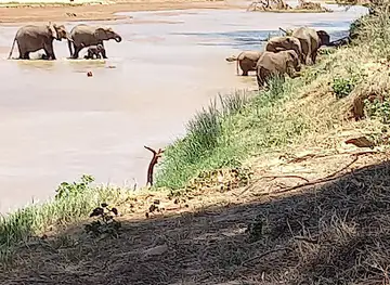 Samburu National Reserve Gate