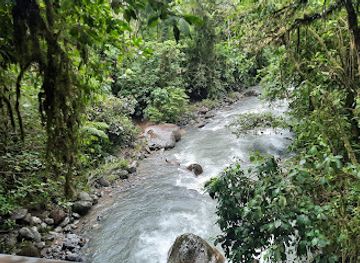 costa-rica/central-valley/attraction/wildlife-refuge-la-marta