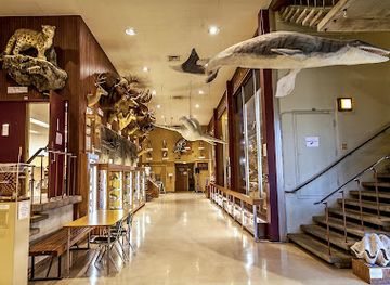 california/sierra-nevada/attraction/sierra-college-natural-history-museum-scnhm