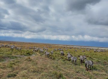 tanzania/ngorongoro-highlands/attraction/ngorongoro-crater-national-park