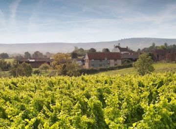 united-kingdom/sussex/attraction/court-garden-vineyard