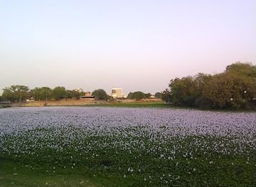 india/vadodara/attraction/gotri-lake-gotri-talav
