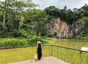singapore/labrador-nature-reserve/attraction/bukit-timah-nature-reserve