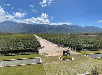 argentina/cafayate/attraction/vinas-en-flor-tienda