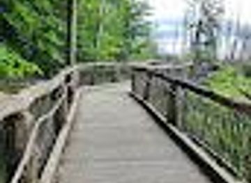 germany/monschau/attraction/wilder-kermeter-natural-adventure-park