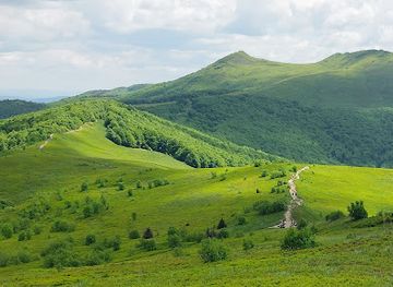 poland/bieszczady-mountains/attraction/polonina-wetlinska