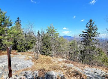 new-hampshire/mount-monadnock/attraction/rhododendron-state-park