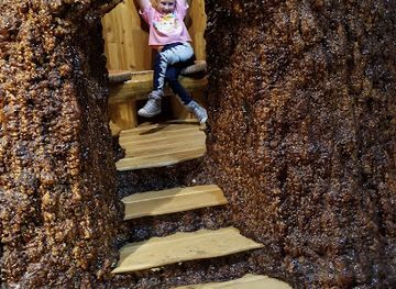 wisconsin/northwoods/attraction/northwoods-childrens-museum