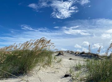 florida/first-coast/attraction/huguenot-memorial-park