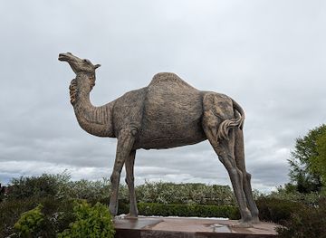 canada/western-manitoba/attraction/sara-the-camel