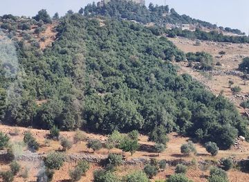 jordan/ajloun-castle/attraction/teleferic-ajloun