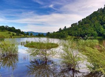 armenia/vanadzor/attraction/tsover-lake