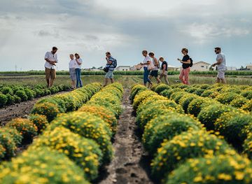 austria/neusiedler-see/attraction/steppenduft