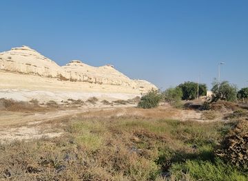 bahrain/muharraq/attraction/sakhir-desert-view-point