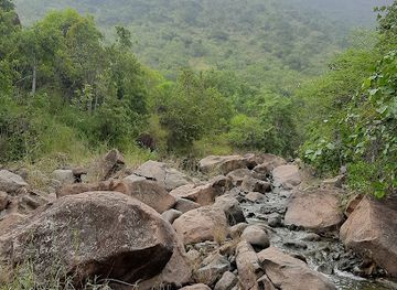 india/andhra-pradesh/attraction/mogali-gundalu-water-fall